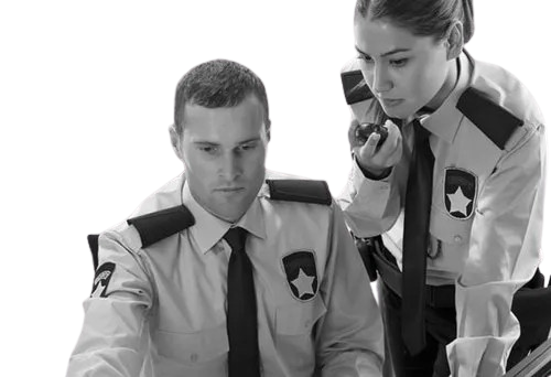 Portfolio Hero Image